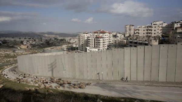 A Palestinian shepherd walks by the controversial wall in East Jerusalem. (AFP/Ahmad Gharabli)
