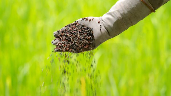 The project plans to expand the output of the Bled El-Hadba phosphate mine in the eastern region of Tebessa from 1 million tonnes annually to 10 million tonnes. (Shutterstock)
