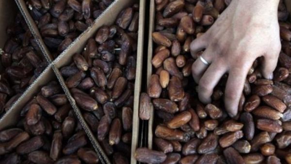 تناول بعض التمر أثناء السحور يمنع من العطش ويعطي الطاقة للجسم.