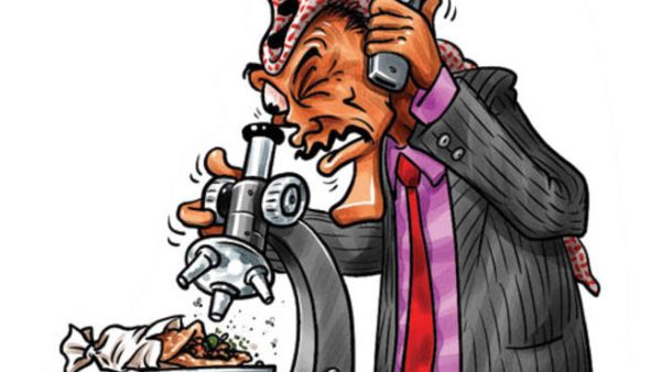 كاريكاتير أبو محجوب