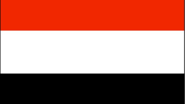 أرجع مختصون في الاقتصاد اليمني عدم انهيار الاقتصاد اليمني بسبب الاضطرابات السياسية والأمنية خلال العام الحالي إلى كونه اقتصادا غير منظم، إضافة إلى الدعم السعودي في مجال النفط