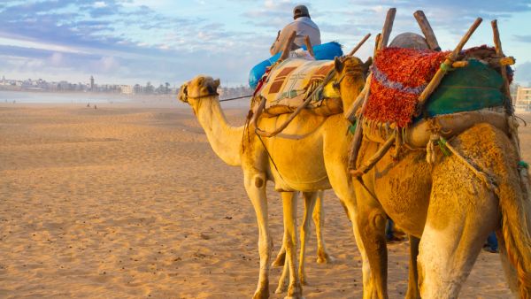 (Shutterstock/ File Photo)