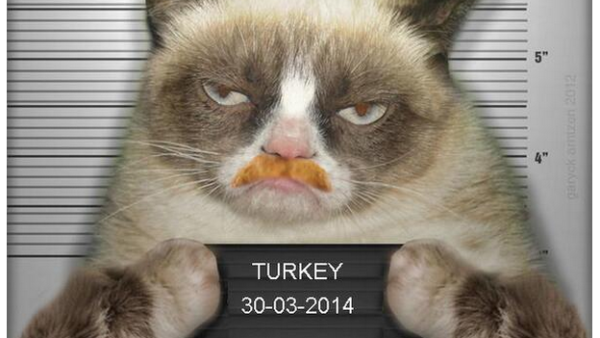 Ahead of Turkey's general election next month, analysts say what happens at the polls could play a historical role in Turkish politics, both internally and regionally. Get acquainted with Turkish politics and the cats who represent 'em. (Twitter)