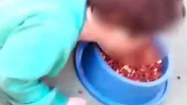 أم تجبر طفلها المريض على تناول طعام الكلاب