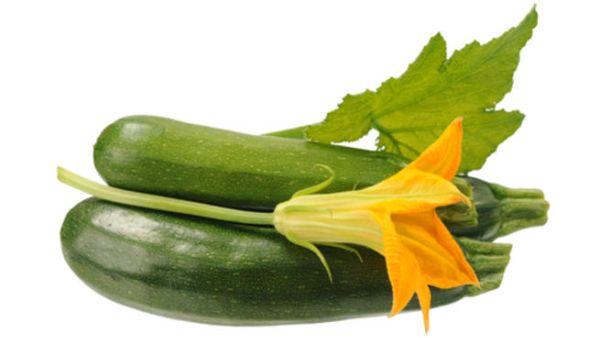 وصفات سهلة من زهر الكوسا للريجيم وصفات سهلة من زهر الكوسا للريجيم