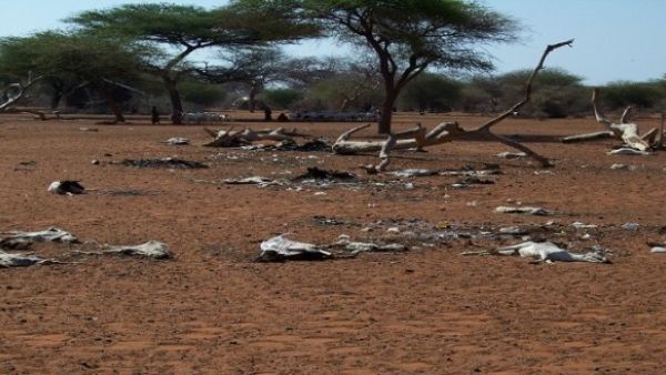  السبب الرئيسي للجفاف، يعود إلى عدم هطول الأمطار الموسمية لمدة ثلاث سنوات