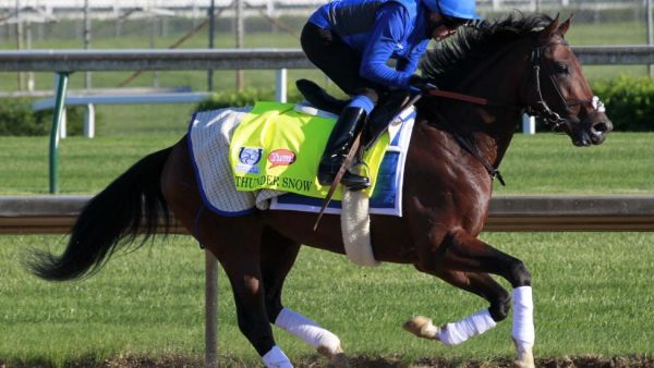 Thunder Snow will defend his title in the $12 million World Cup. File Photo by John Sommers (Photo: UPI) Thunder Snow will defend his title in the $12 million World Cup. File Photo by John Sommers (Photo: UPI)