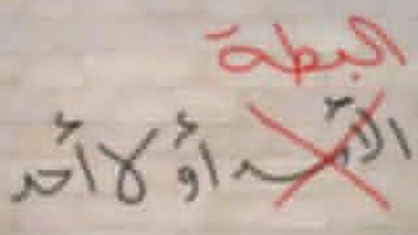 استبدل السوريون البطة بالأسد في مظاهراتهم