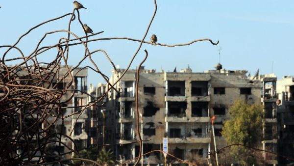 Birds are seen sitting on iron rods from the rubble of destroyed buildings in the war ravaged city of Homs on February 5, 2016. (AFP/Joseph Eid)