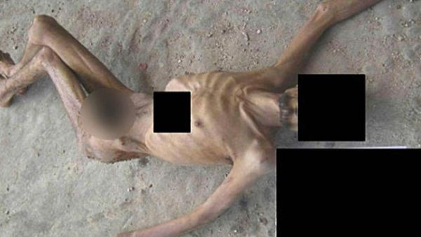 عن السي ان ان 