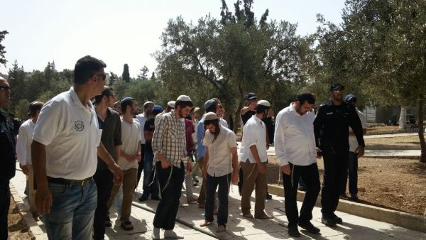 مستوطنون في ساحات المسجد الأقصى