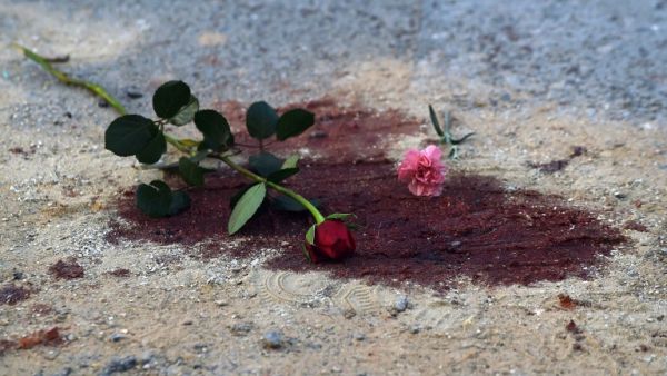 This file photo taken on March 19, 2015 shows roses on bloodstains in front of the National Bardo Museum in Tunis during a demonstration in solidarity with the victims of an attack on the museum on March 18, 2015 killing 21 people. (AFP/Fadel Senna)