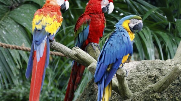 (Shutterstock/ File Photo)