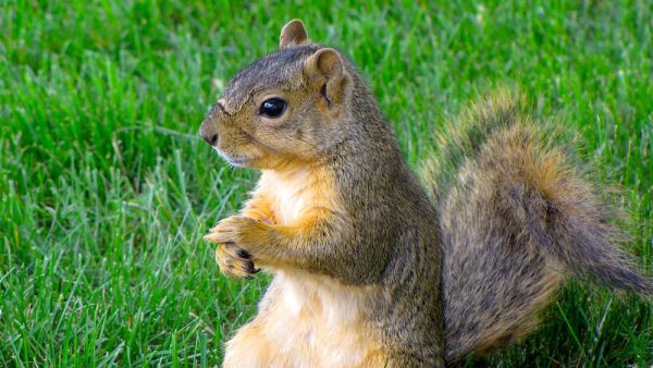 (Shutterstock/ File Photo)