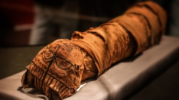 (Shutterstock/ File Photo)