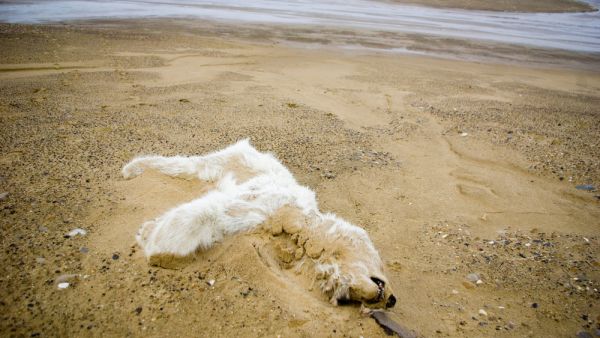 (Shutterstock/ File Photo)