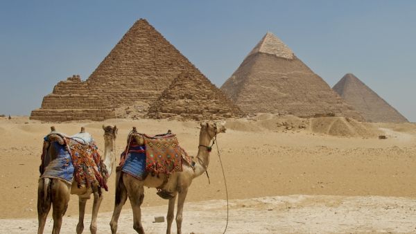 (Shutterstock/ File Photo)