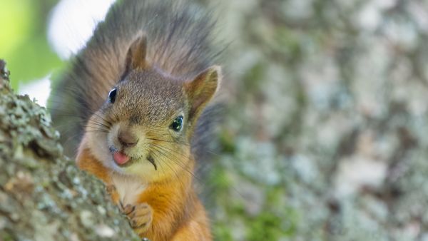 (Shutterstock/ File Photo)