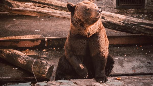 (Shutterstock/ File)