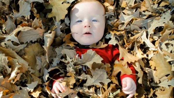 (Shutterstokc/ File Photo)