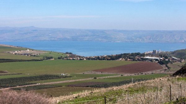 An area of green farmland in the Galilee. (AFP/File) An area of green farmland in the Galilee. (AFP/File)