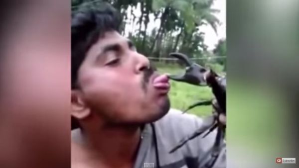 (YouTube Screenshot)