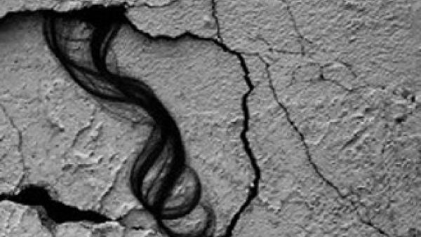 شعر الضحية فقط نجا من تحت الركام 