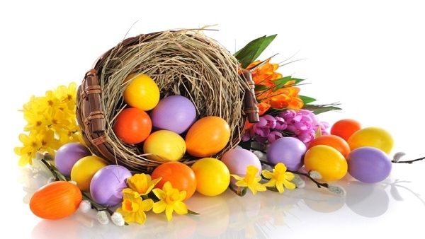 All children are invited to take part in an exciting egg hunt. All children are invited to take part in an exciting egg hunt.