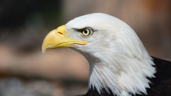 "Why should anyone listen to us about anything if we either hate and fear the Syrian people so much that we would allow their country to be destroyed, and wouldn’t even allow 10,000 refugees from this conflict to live among us?"