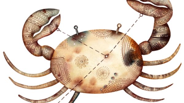 توقعات برج السرطان 2019 من ماغي فرح

