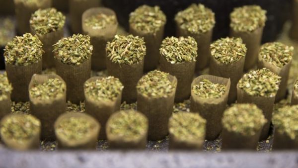 Plastic bag containing rolls stuffed with dried cannabis plants (marijuana) (AFP/File Photo)	