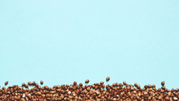 بذر الجزر يعالج الأمراض النفسية والتوتر واعتلال المزاج