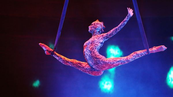 ‘UFO: Circus from Another Planet’ to have three-day run at the Dubai World Trade Centre. (Emirates 24/7)