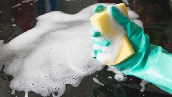 اسفنجة المطبخ تعتبر بمثابة البيت المرفه للبكتيريا