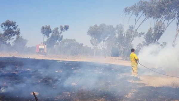 Incendiary kites and balloons were sent from Gaza (Twitter)