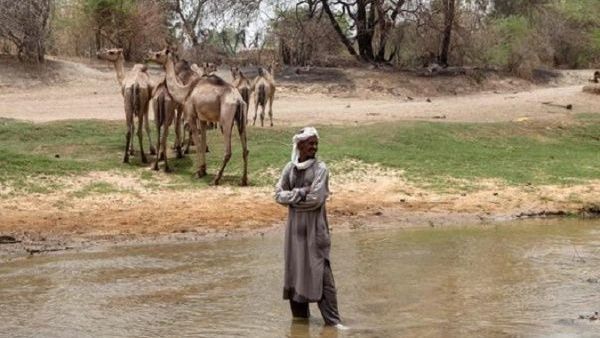 Herders in Nigeria (AFP/File Photo)	