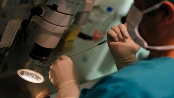 طبيب يستخدم حيواناته المنوية للتخصيب، يشتبه أبوته لـ60 طفلًا
