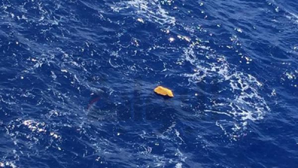 العثور على اشلاء 