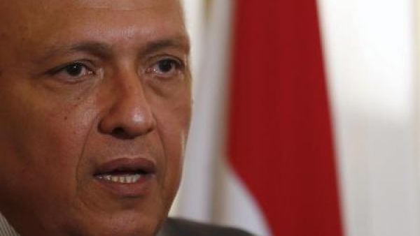 وزير الخارجية المصري سامح شكري 
