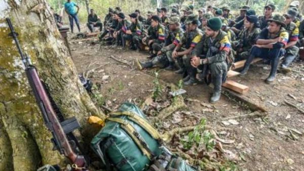 فارك جندت أكثر من 11 ألف قاصر