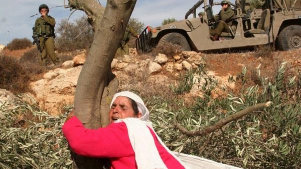ذكرى يوم الأرض