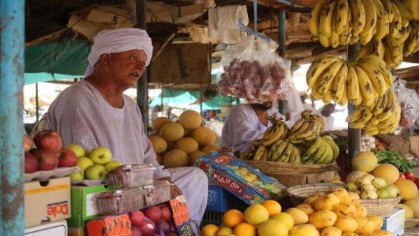 ما بعد قرار زيادة الأسعار.. موز الجنة يثير جدل المصريين