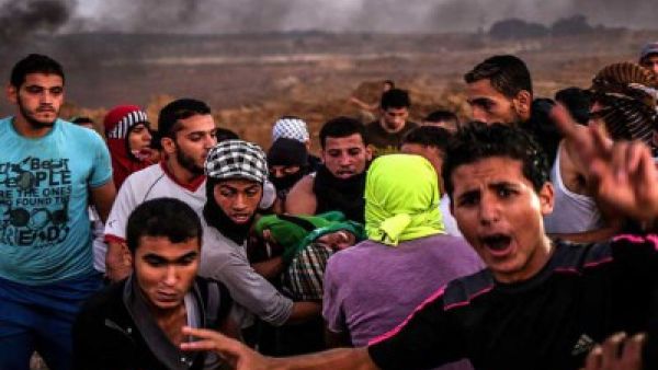 من بين الشهداء 15 شخصا في قطاع غزة - أرشيف