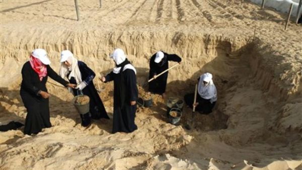 نساء غزيات يعملن في حفر بركة تجميع مياه في احدى المزارع/أ.ف.ب