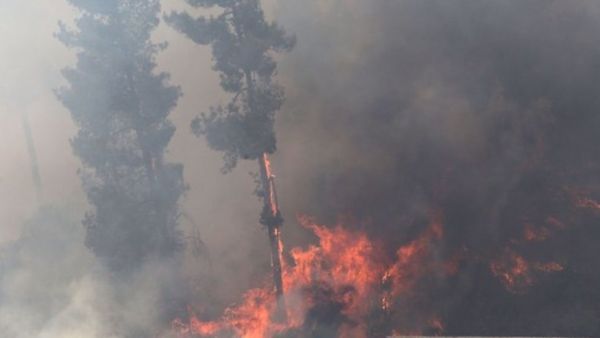 دعت الحركة كل من يجد صعوبة في الوصول للمسجد الأقصى للصلاة على أقرب نقطة ممكن الوصول لها 