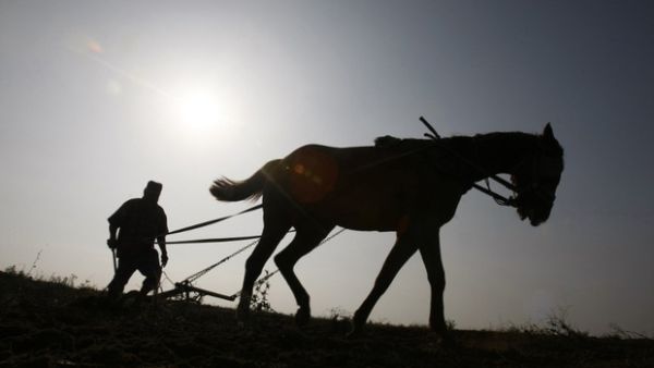 A Palestinian farmer plows his land in Gaza Strip near border fence with Israel (AFP/File Photo)