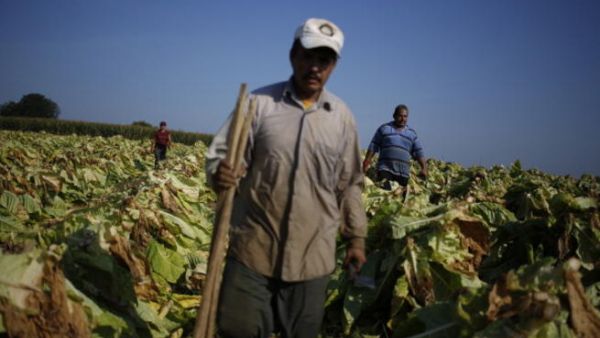 جميع هذه الإعفاءات تسهيلا وتشجيعا من الحكومة المغربية للمستثمرين السعوديين للاستثمار في المغرب، ويتم التركيز غالبا على المستثمرين الجُدد"