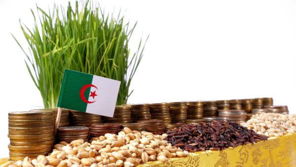 موجة الحرارة في الجزائر تكبد الزراعة خسائر باهظه