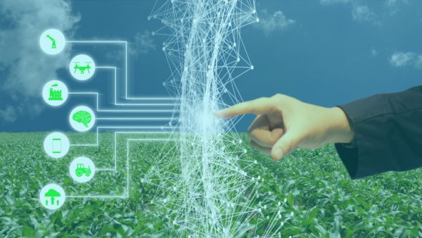 يستخدم البرنامج الرؤية الحاسوبية، وهي شكل من أشكال تعلم الآلة، لتحديد أفدنة الأعشاب أو تركيزات الكلوروفيل بسرعة أكبر من قدرة الإنسان