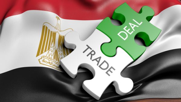 تستهدف مصر في ميزانية السنة المالية المقبلة خفض عجز الموازنة إلى 9.1 بالمئة وزيادة النمو الاقتصادي إلى 4.6 بالمئة